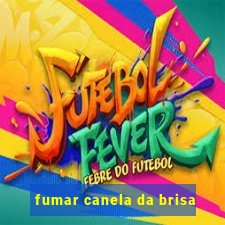 fumar canela da brisa